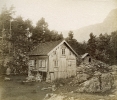 Nausthaugen 1886