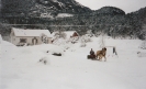 Hallgeir og hesten jul 1995