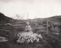 Lasse 1962
